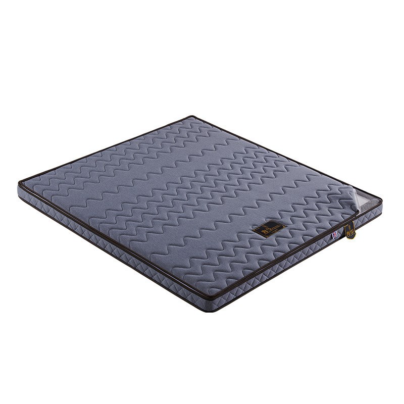 经济型护脊儿童环保偏硬床垫1.2米1.5 1.8天然棕榈3e椰棕垫出租房