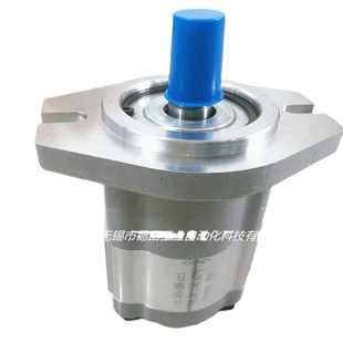 CBK1025 CBK1020 采煤机齿轮油泵 B1FR CBK1016