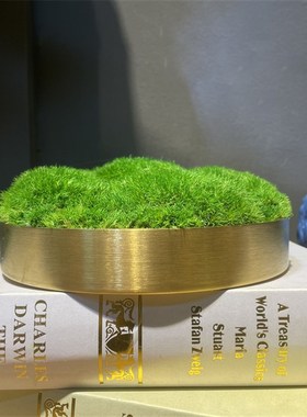 轻奢金属苔藓插花摆件售楼部会所洽L谈桌茶几台面软装饰品