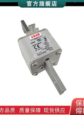 170M4714 4715 4716 4717 4718 4719 全新美国bussmann快速熔断器