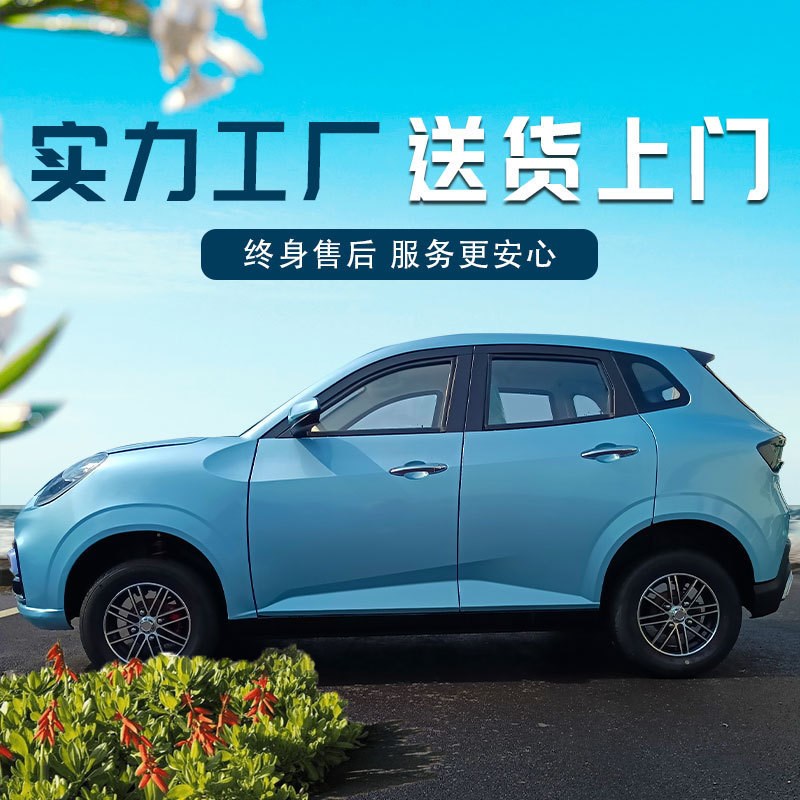 新能源四轮电动车家用老头乐女士小型新款低速代步汽轿车油电两用