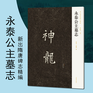 永泰公主墓志新出隋唐碑志精编楷书碑刻书法书法字帖碑帖书籍书法赏析河南美术出版社