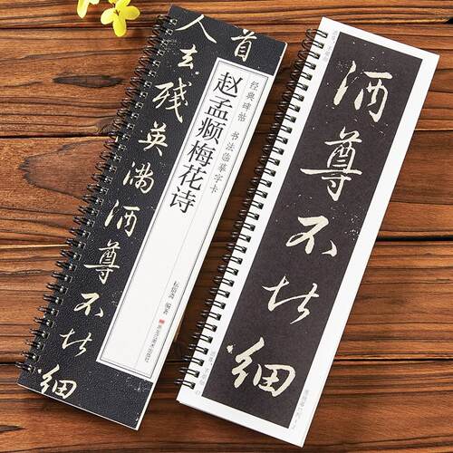 赵孟頫梅花诗经典碑帖书法临摹字卡行书毛笔书法字帖原大加放大赵孟俯字帖初学者成人入门练习近距离临帖卡诗帖黑龙江美术出版社
