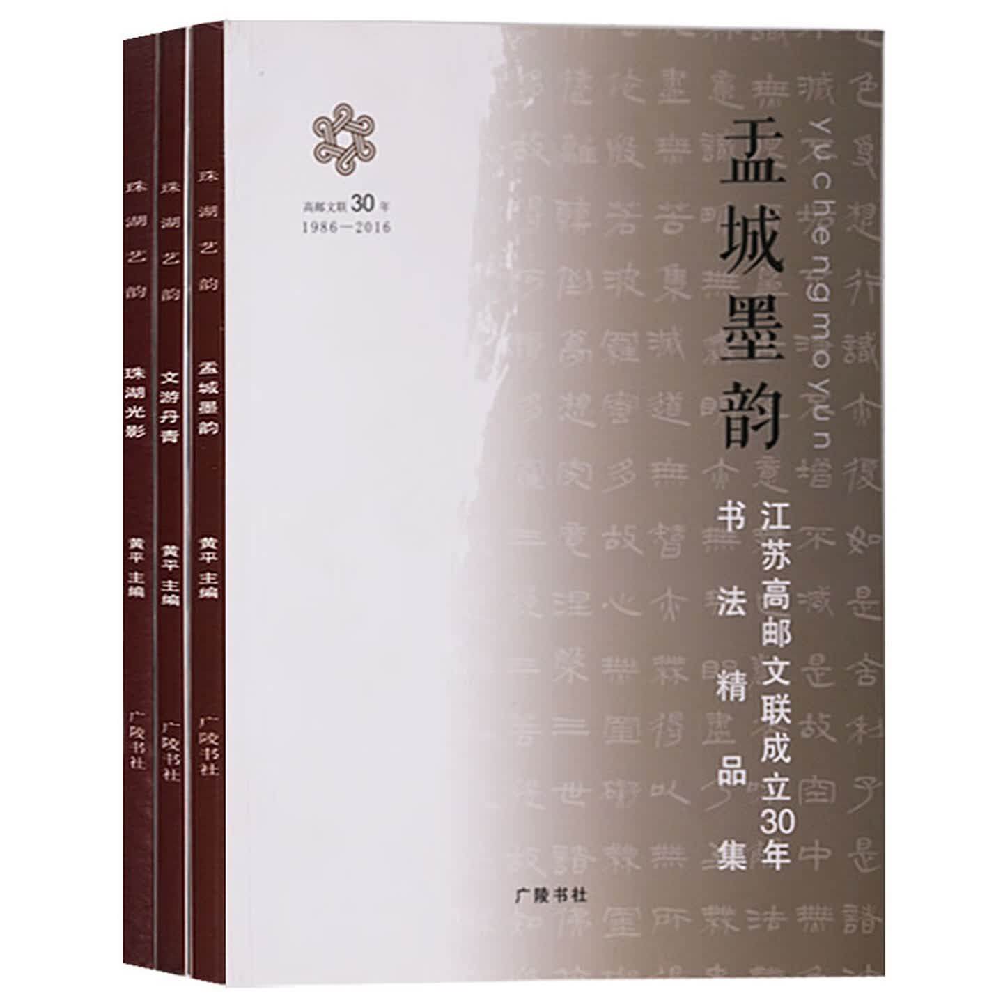 珠湖光影孟城墨韵文游丹青珠湖艺韵套装3册江苏高邮文联成立30年书法精品集书法绘画书籍广陵书社