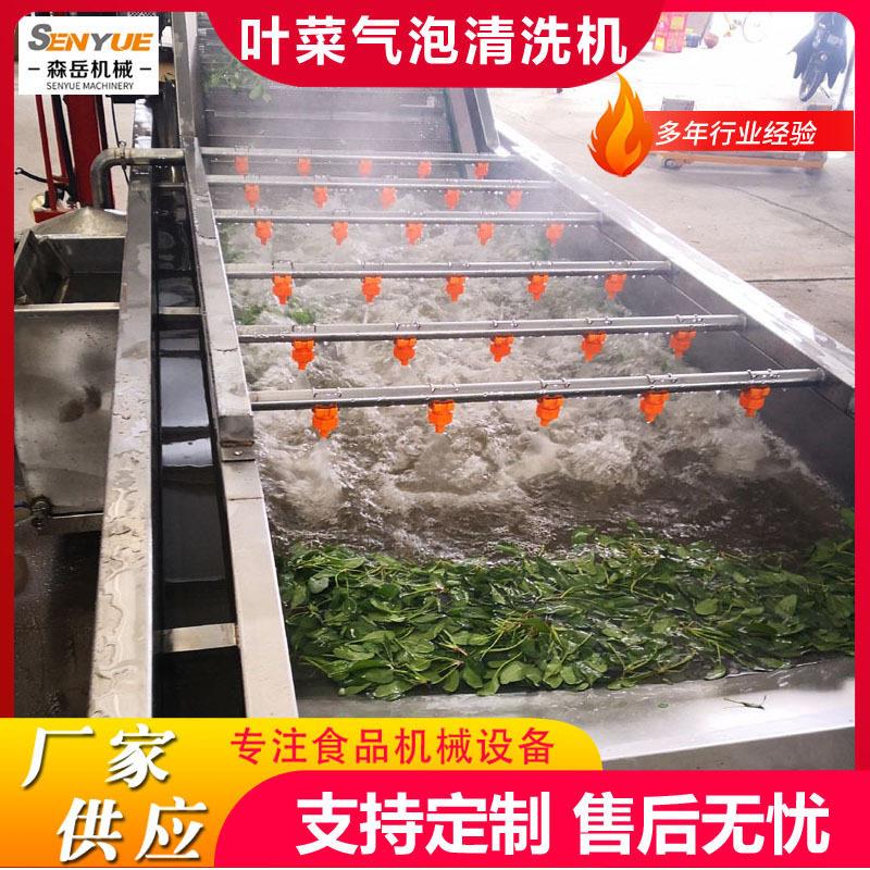 工厂用果蔬气泡清洗机设备艾草气泡清洗机茶叶鼓泡翻浪清洗机