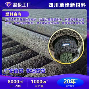 定制塑料盲沟绿化地下路基隧道工程渗排水圆形盲管塑料盲沟管厂家