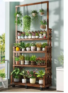 实子木质置物架地LIF客厅阳台吊兰绿多肉花架餐厅绿植落盆景玄萝