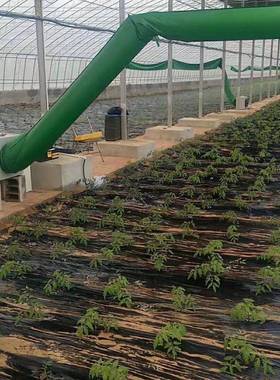 畜牧养殖增温热风机全自设动温控电加CNL热备育雏温暖机大功加率