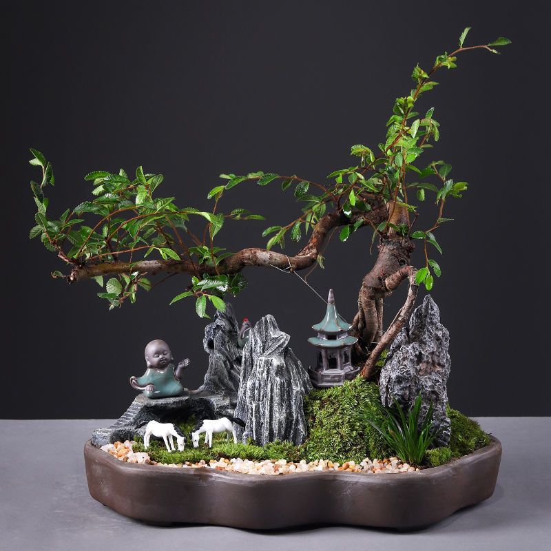 丛林盆景成品盆栽植物室内花卉办公室绿植盆景山水雀梅异形花盆