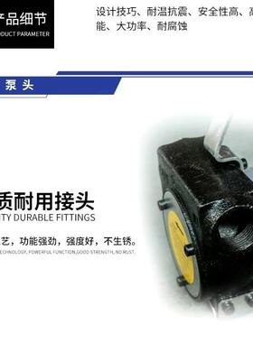 便携式抽油泵柴油电动自吸抽油泵泵手提2924式抽油泵1V24抽V220V