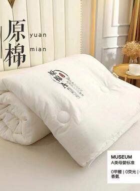 大豆纤维被季用加厚春冬被四秋被通夏凉被家用EKZ单双人被芯学生