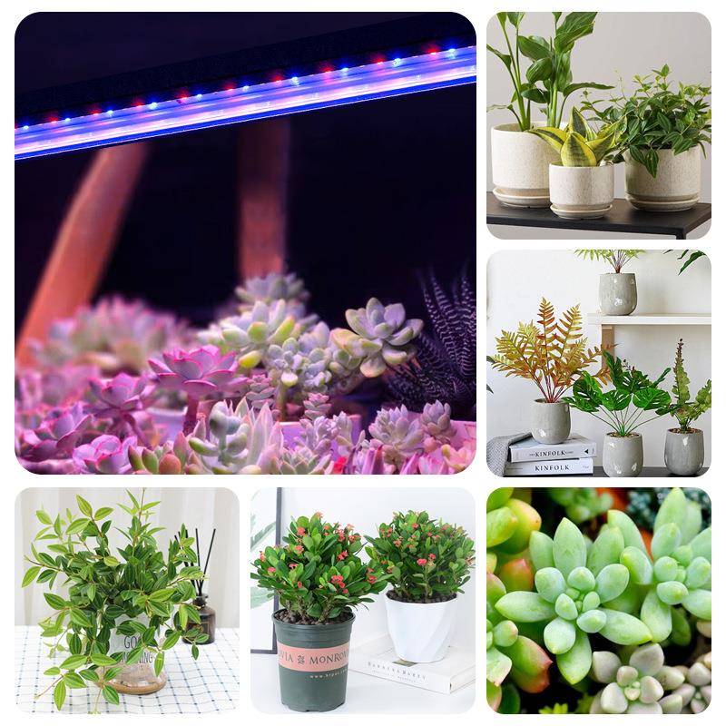 LED植生长灯多肉补灯室内种植长洗墙光灯全光谱条三色智XL-DJ001