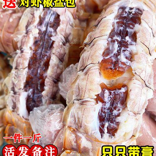 全母皮皮虾鲜活全膏带籽虾爬子即食濑尿虾海鲜水产活发