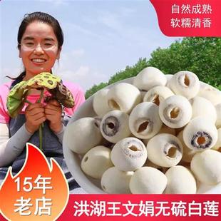 莲子干货去芯洪湖王文娟家白莲500g湖北特产2024年磨皮白莲非湘潭