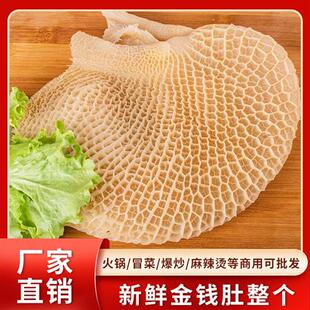 金钱肚蜂窝肚新鲜牛肚毛肚火锅食材黄金肚小肚牛胃餐饮商用牛杂