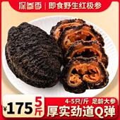 即食红极参冰岛北极野生红海参进口海捕冰岛俄罗斯加拿大无污染