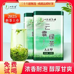 2025新茶一杯香明前云雾绿茶茶叶500g自己喝春茶冷泡官方经营店