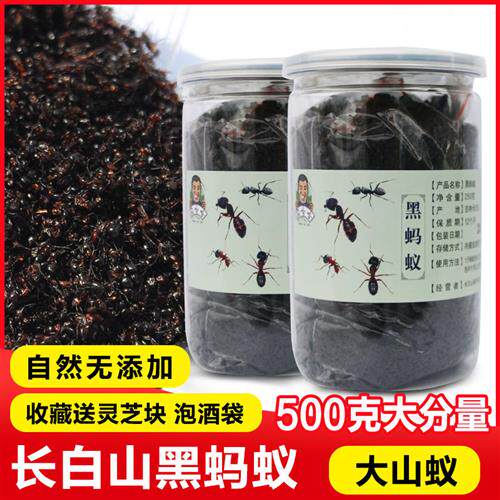东北长白山黑蚂蚁泡酒500g蚁酸充足野生大山蚂蚁非拟黑多刺蚁干