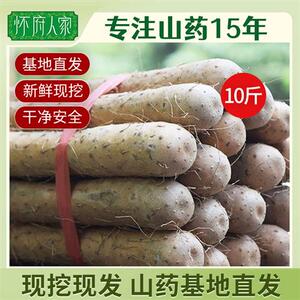 怀府人家 铁棍淮山药甄选10斤新鲜 焦作铁杆怀山药约棒河南土特产