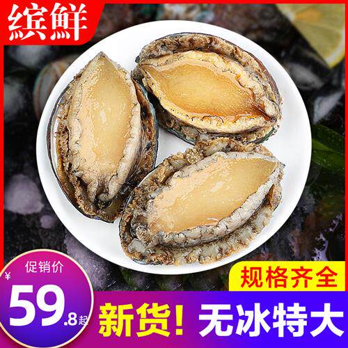 新鲜鲍鱼鲜活超大海鲜水产生鲜活特大加热即食干小鲍鱼捞汁饭