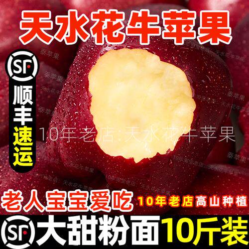 甘肃天水花牛苹果蛇红果10斤 小孩长辈适合的粉面软糯香甜苹果