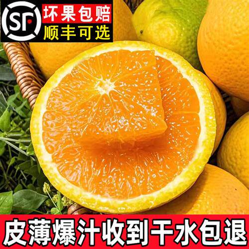 夏橙秭归夏季当季现摘湖北橙子新鲜水果非伦晚脐橙多汁整箱手剥橙