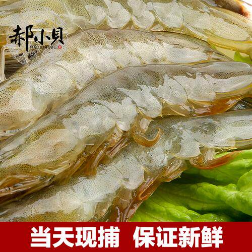 基围虾鲜活超大虾青岛海捕大虾速冻活虾青虾鲜虾新鲜特大海虾海鲜