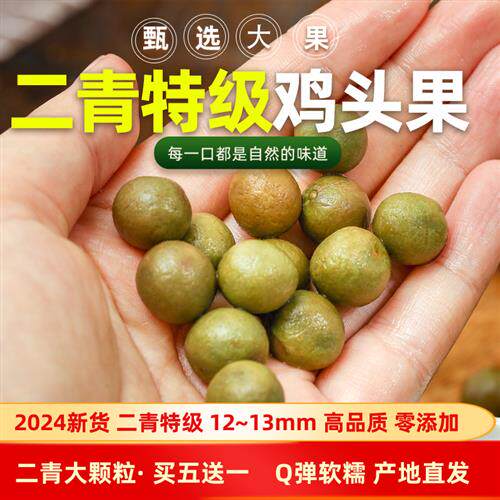 2024天长龙岗特产野生新鲜鸡头果带壳鸡头米芡实二青特级颗粒500g