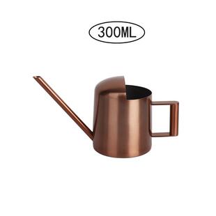 Spray can small stainless steel sprinkler metal喷壶小型