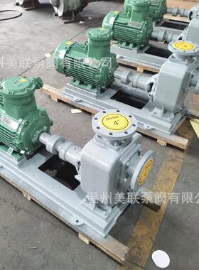 200ZXL400-32直连式自吸泵 铸铁304不锈钢自吸泵 直联自吸泵