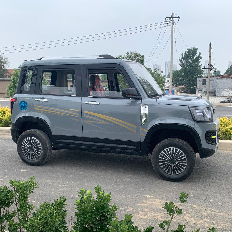 新款油电两用老人家用代步车汽车面包车小型低速电动车四轮新能源