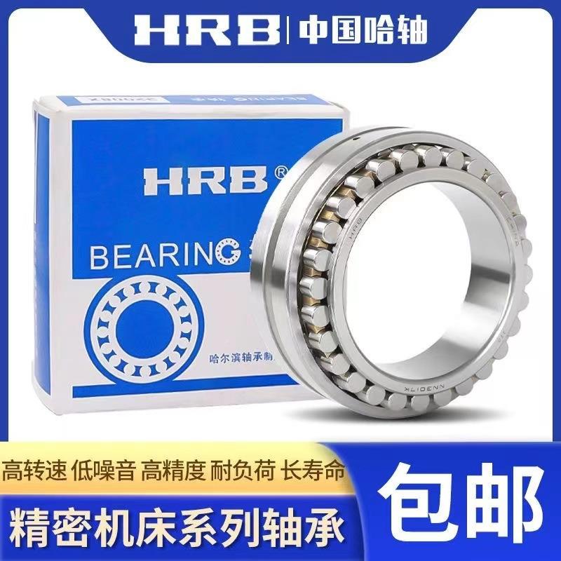 哈尔滨机精柱床双排圆轴承NN3哈尔005K306K3007K/W033机床轴承高