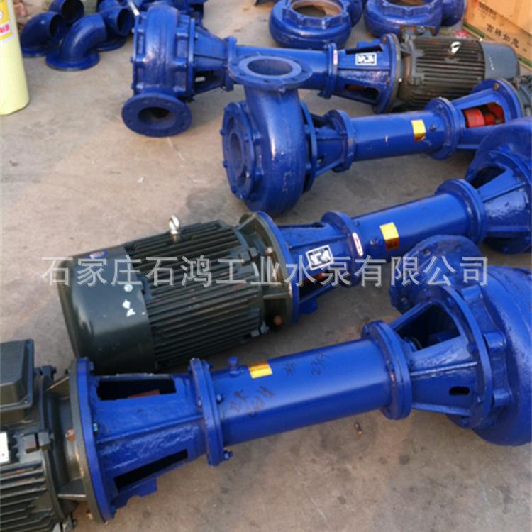 MEQ销NSLNL各NL种立式污水热泵液下吸沙泵NSL100-28现Y货