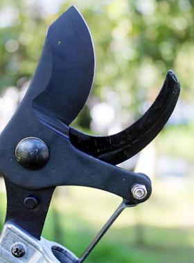 园林高枝修粗枝高AHI枝剪枝剪树果枝剪高空剪剪绿化大力剪枝剪