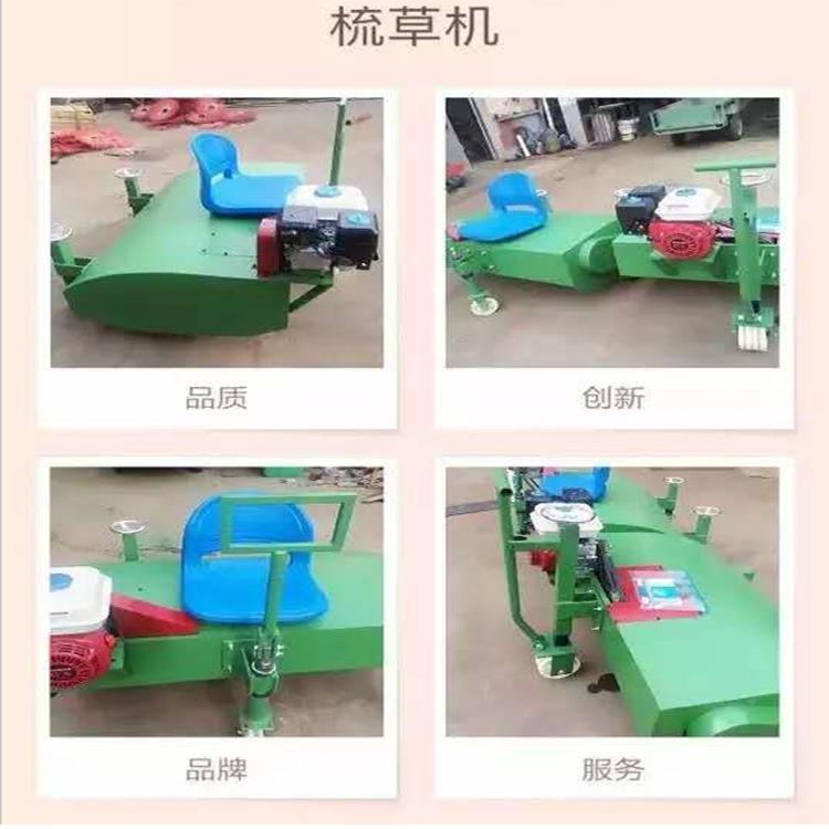 生草产式草坪梳草机座驾汽油动力草机人造ZND草坪梳梳机厂家