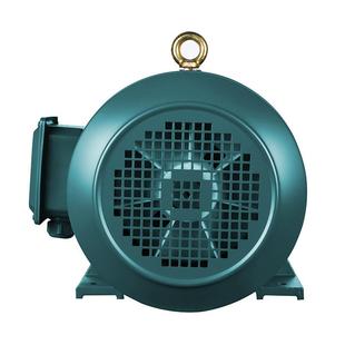 E5三相异步Y电机交流电动机w0.55 7.5kECP千瓦全铜80V大功率 1.1
