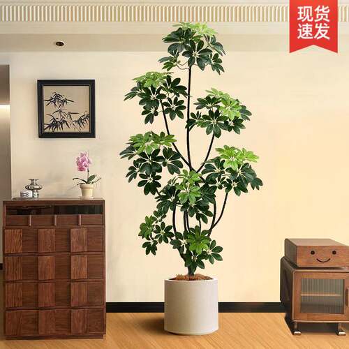 电视柜旁边落地摆件大室内客厅型发7/23超真沙边假植物鸭脚木仿真