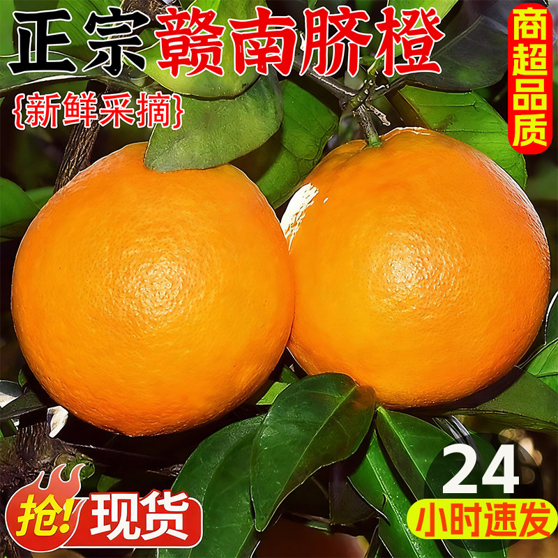 正宗赣南脐橙新鲜橙子当季水果手剥果冻橙子冰糖甜橙大果整箱包邮,水产肉类/新鲜蔬果/熟食,橙,淘宝优惠券,粉丝福利购,淘宝优惠卷