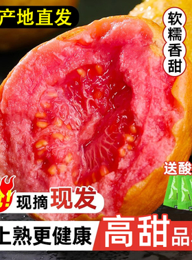 红心芭乐新鲜水果当季正宗软糯红心番石榴低糖奶油巴乐整箱包邮