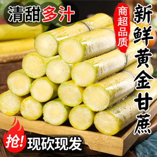 正宗黄金甘蔗黄皮脆甜新鲜水果9斤现砍甜杆甘蔗孕妇多汁包邮批发