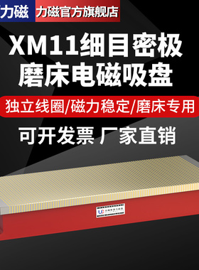 力磁XM11磁盘平面磨床电磁吸盘电火花机雕刻机用密极强力细目磁盘