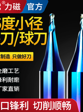 力磁65度钨钢铣刀2刃平底微小径刀平刀球刀CNC合金数控专用立铣刀
