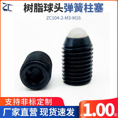 BCNB树脂球头弹簧柱塞 尼龙头波珠螺丝 弹簧定位珠ZC104-2-M3-M16