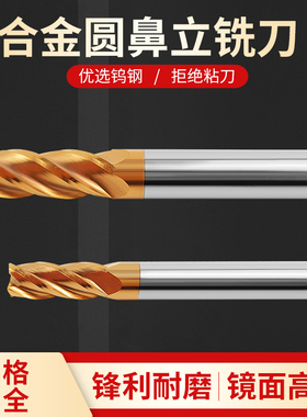 圆鼻铣刀硬质合金牛鼻刀带R钨钢立铣刀4R0.5加工中心CNC不锈钢用