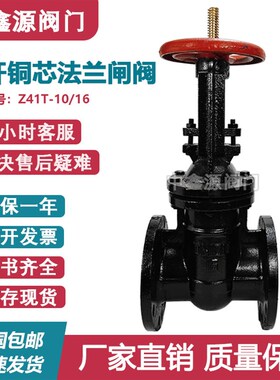 Z41T/Z45T-16铸铁铜杆铜芯人防防护明杆暗杆法兰闸阀DN6580100125