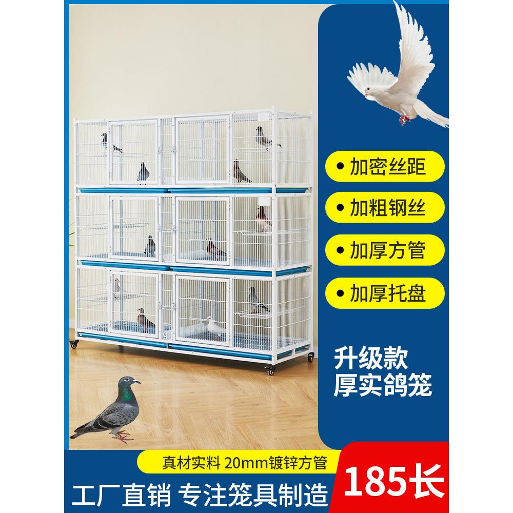 加密鸽笼配对笼鹦鹉笼鸟笼赛鸽观赏鸽养殖笼公棚鸽屋鸽笼