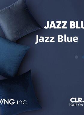 LIVING inc.普鲁士蓝 天鹅绒抱枕沙发客厅靠垫深蓝色办公室靠枕套