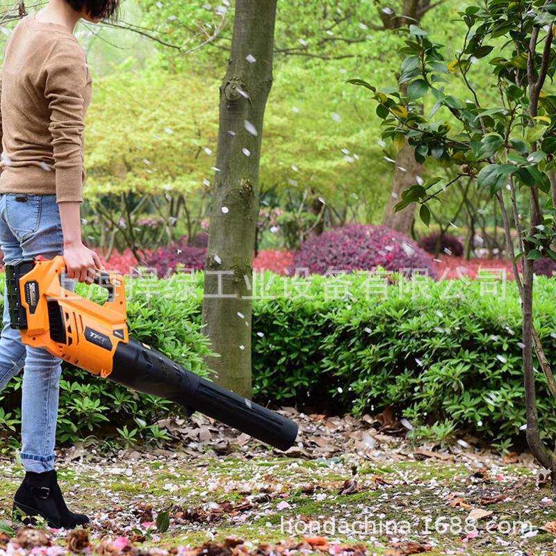 传TPBL56058TPBL5605V手提5风峰机大率充电式工业吹风机无线马功