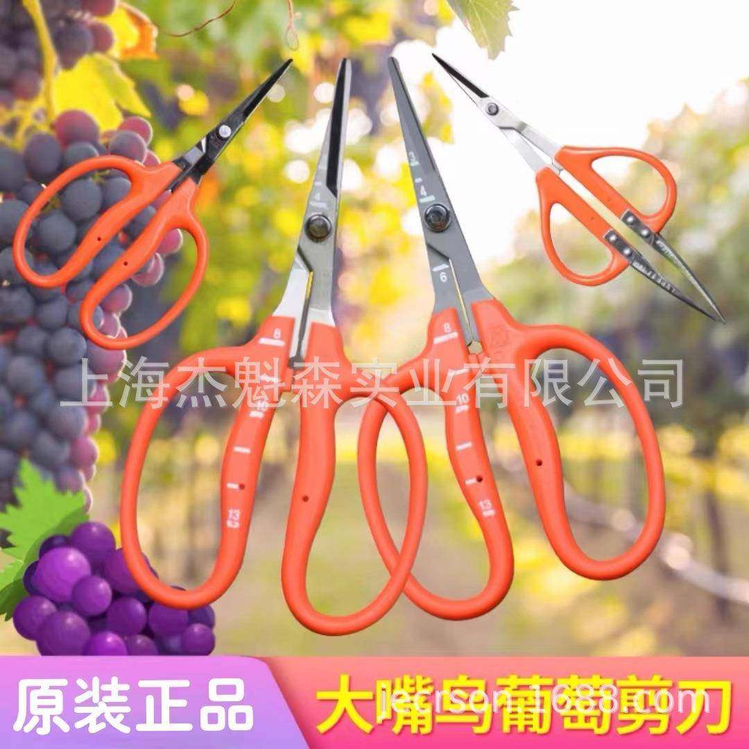 近正大嘴鸟chiamasa镊剪葡萄剪摘果QMF光水k果剪阳萄玫瑰葡剪