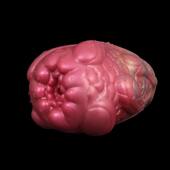 Mastubator Pussy Animal Silicone Men Tight Anus Soft Masturb